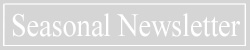 Newsletter Button